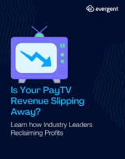 Plugging Revenue Leaks in PayTV